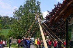 2011.05.01 - Maibaumaufstellen