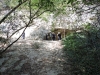 DSCN2081