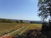 DSC00395