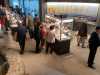 IMG-20220910-WA0014