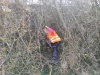 IMG-20230318-WA0018